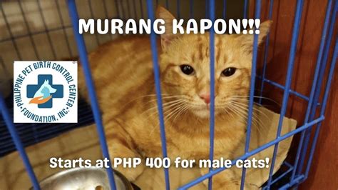MURANG KAPON sa PPBCC Philippine Pet Birth Control Center .